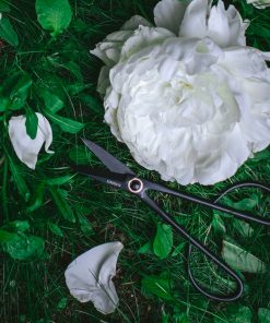 Artisan Pruning & Trimming Shears