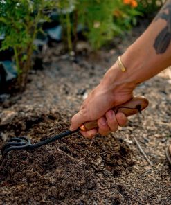 Backyard Gardener Set