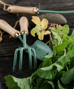 Cultivator