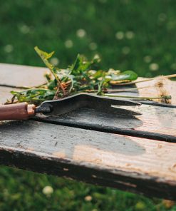Dandelion Weeding Fork