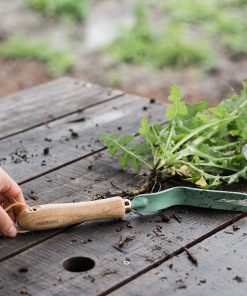 Dandelion Weeding Fork