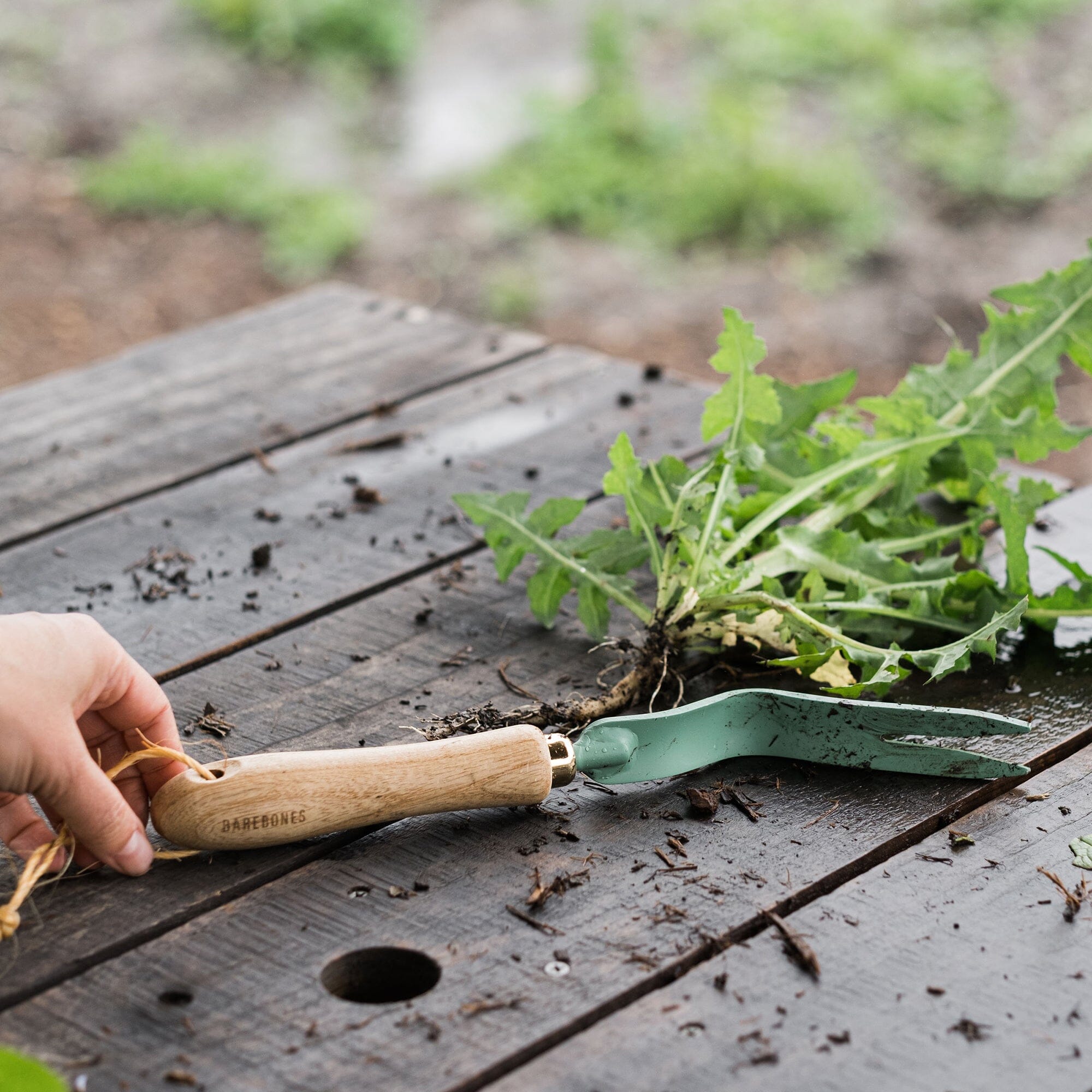 dandelion-weeding-fork-12-12-GDN-679_DandelionWeedingFork_AshMint_PDP_03 Dandelion Weeding Fork