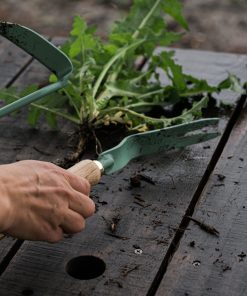 Dandelion Weeding Fork