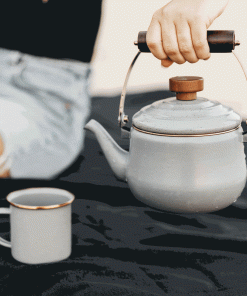 Enamel Teapot
