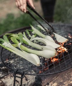 Fire Pit Grill Grate - Circular