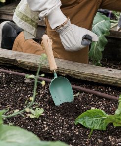 Garden Scoop